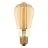 Ledvance Vintage 1906 LED E27 Birne Gold 8.8W 806lm - 822 | Dimmbar - Ersatz für 60W
